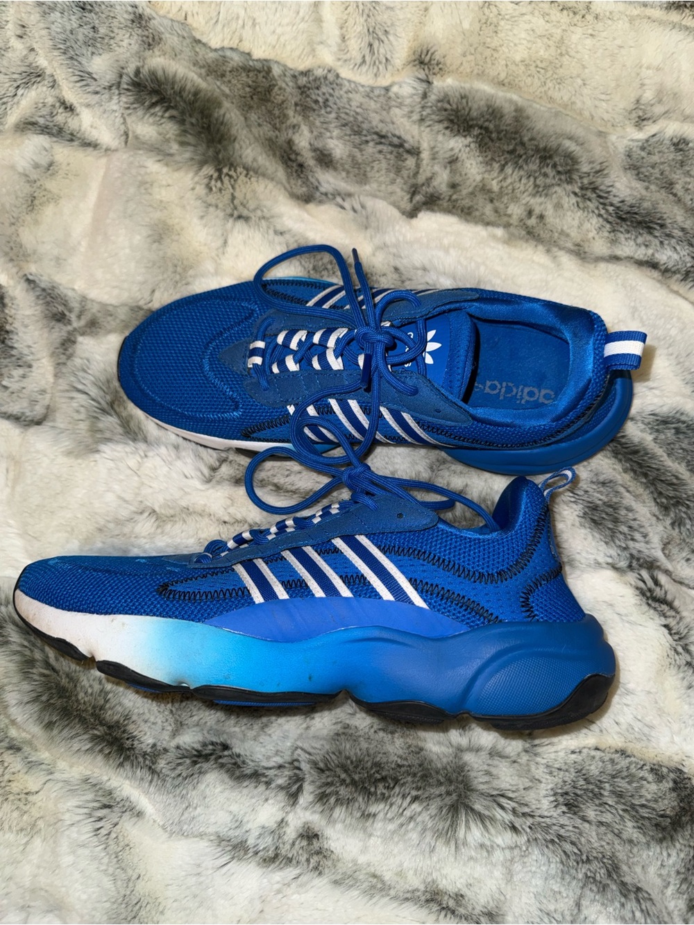Adidas haiwee glory blue Shoes